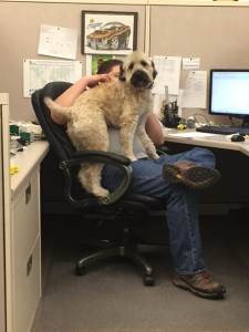 kona and aaron