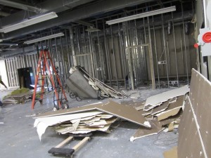 IMG_1286